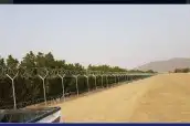 مقاول شبوك توريد وتركيب جميع انواع الشبوك 9
