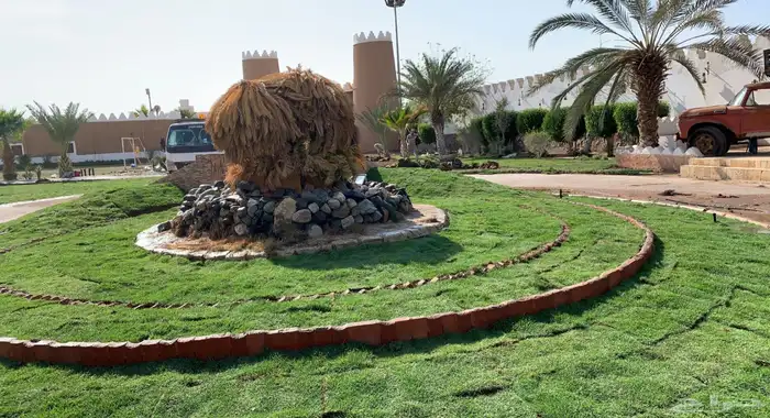 ثيل طبيعي نجيله طبيعي 12