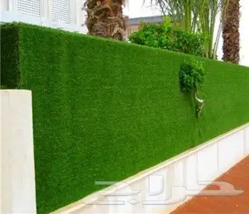 فني ديكور 6