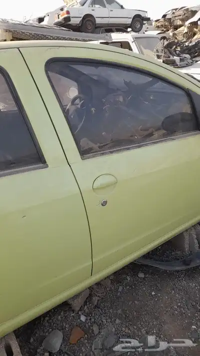 جيلى باندا 2016 1