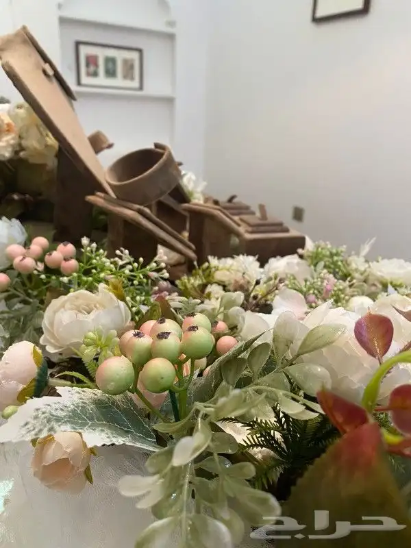 عربية ملكة 8