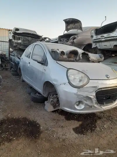 جيلى باندا 2016 0