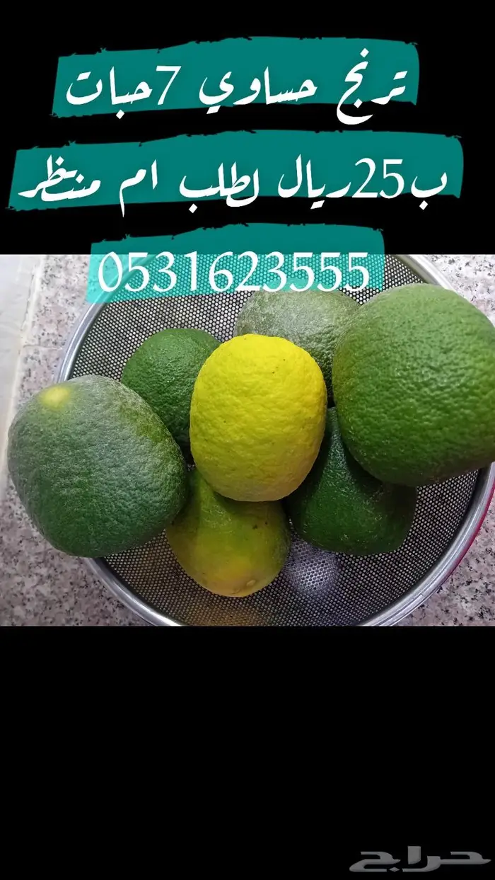 طبخ ام منتظر هريس ورق عنب ملفوف بسبوسه سلق خبزمطوي معكررونا 5