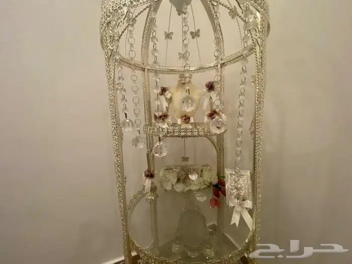 عربية ملكة 3