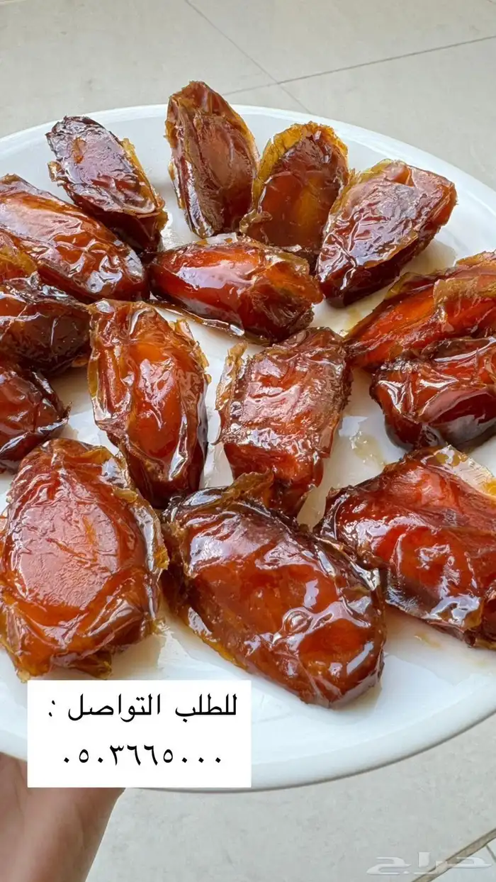 تمر صفري بيشه حبه كبيره 0