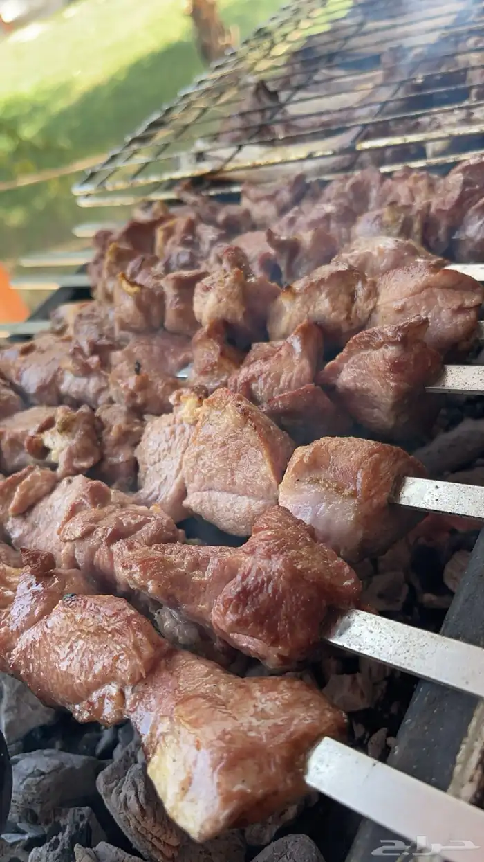 مشويات خارجيه مشاوي شواء شوي ذبائح 0