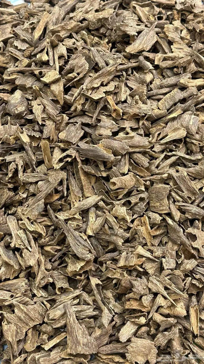 موري هندي دبل سوبر 0