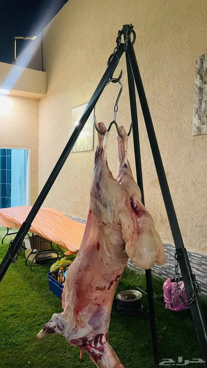 مشويات خارجيه مشاوي شواء شوي ذبائح 13