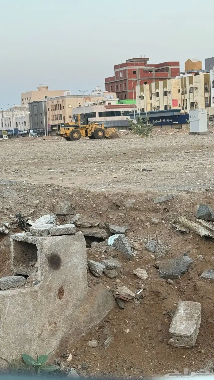 شيول للإيجار 2