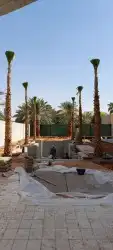 توريدنخيل وتركيب شبوك 7
