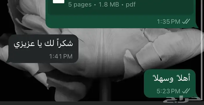 مكتب ترجمة معتمد 25