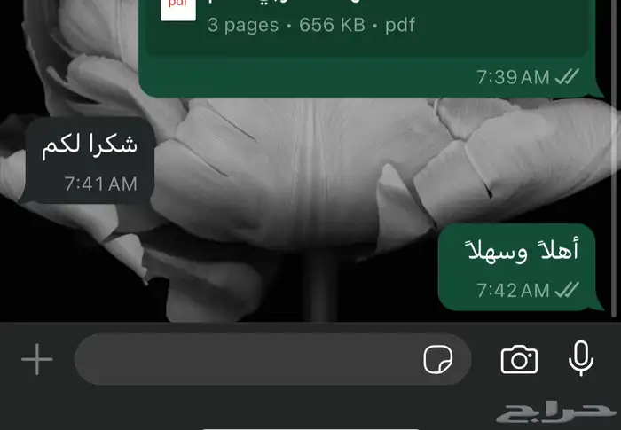 مكتب ترجمة معتمد 26