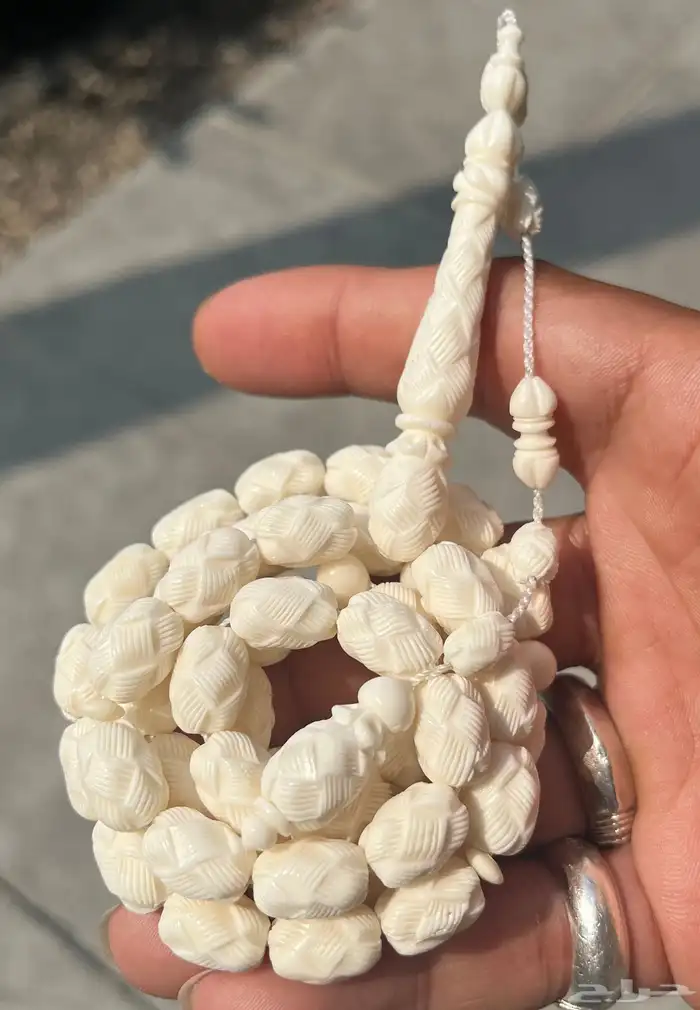 سبحة جمل 3