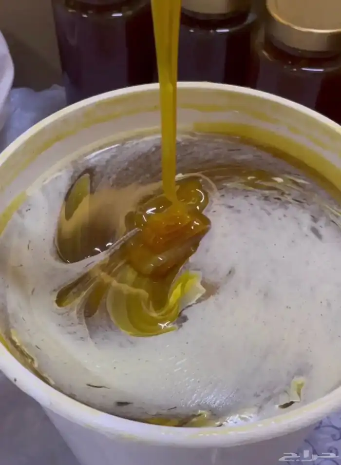 عسل سدر جبلي بلدي رجال المع انتاج مناحلي الشخصيه 1