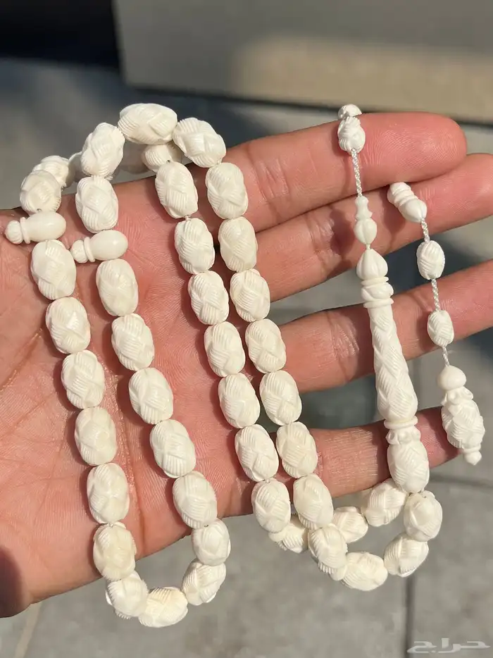سبحة جمل 4