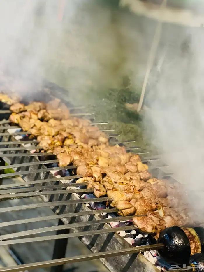 مشويات خارجيه مشاوي شواء شوي ذبائح 19