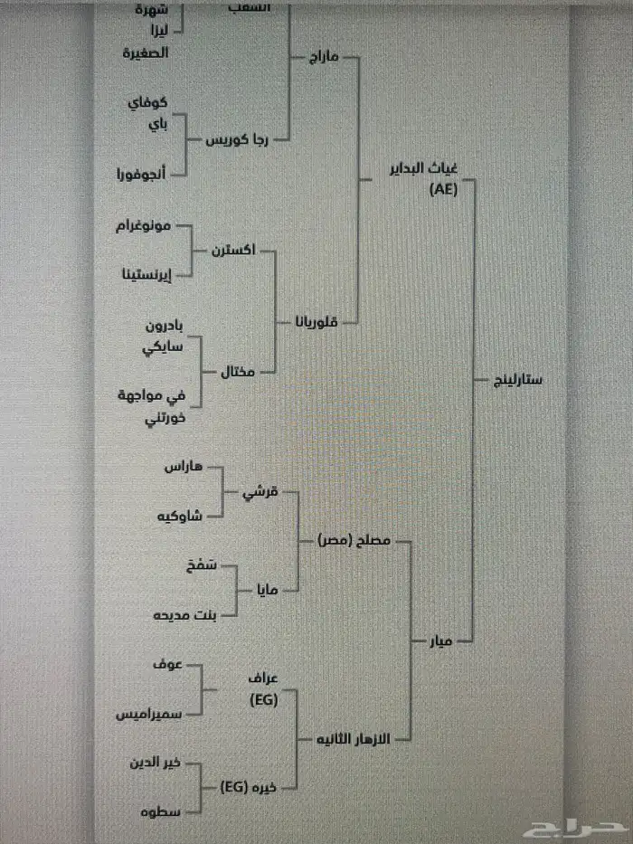 حصان واهو تم البيع 2