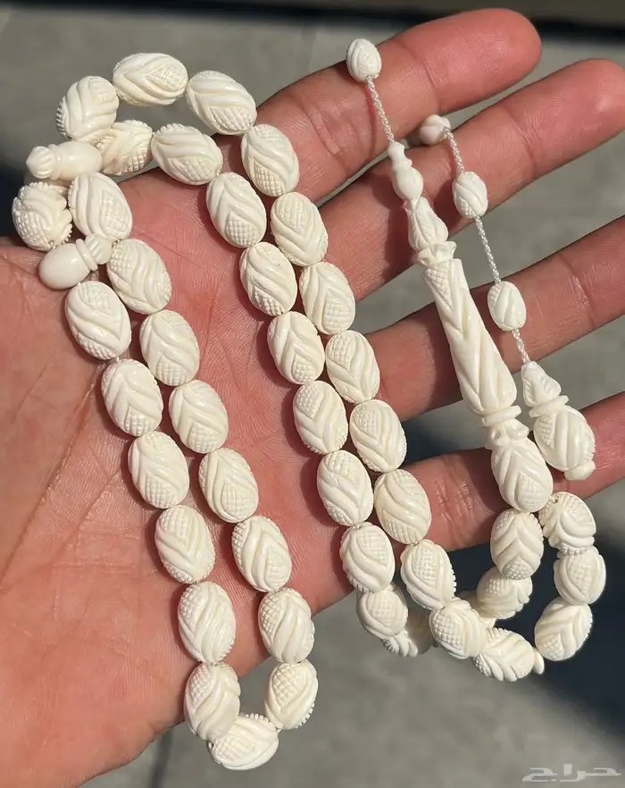 سبحة جمل 1