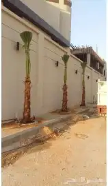 توريدنخيل وتركيب شبوك 9
