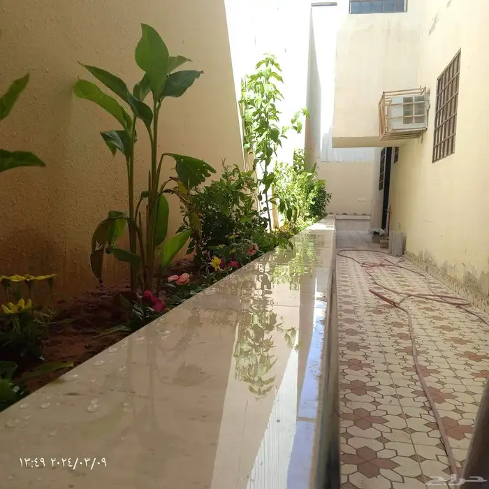 عشب جدري صناعي 8