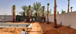 توريدنخيل وتركيب شبوك 6
