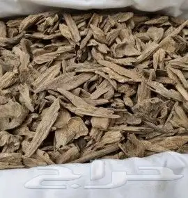 عرض 3 أوقيات عود 2