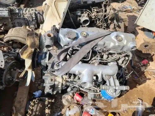 جنات عزوز 2016 تشجيع 5