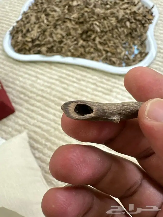 موري هندي دبل سوبر 2