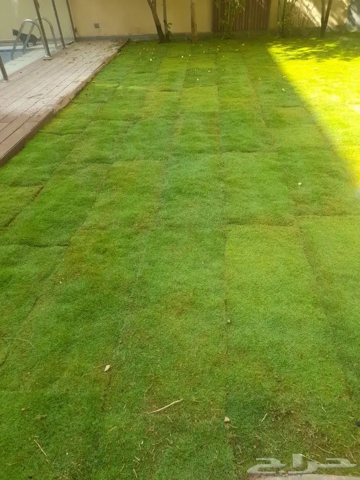 مشتل ابوعبدالله 2