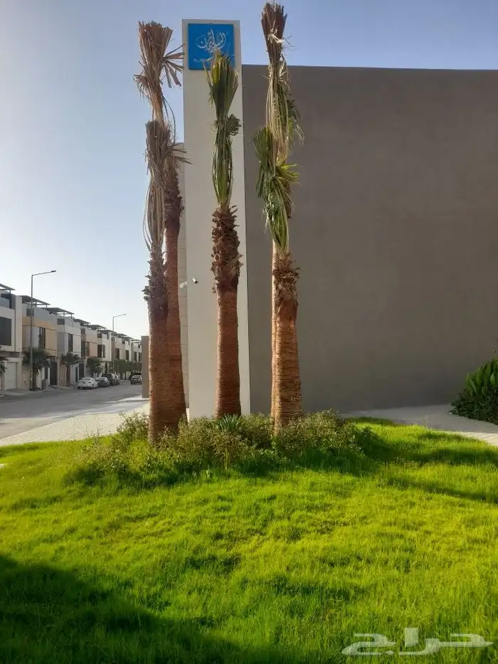 مشتل ابوعبدالله 4