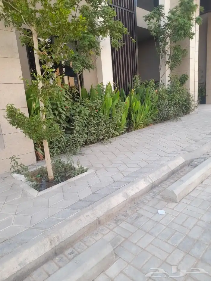 مشتل ابوعبدالله 5