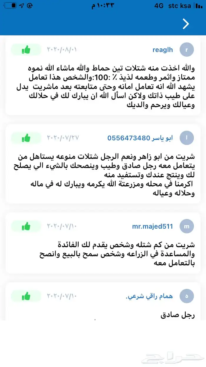 شتلات منتجه 17