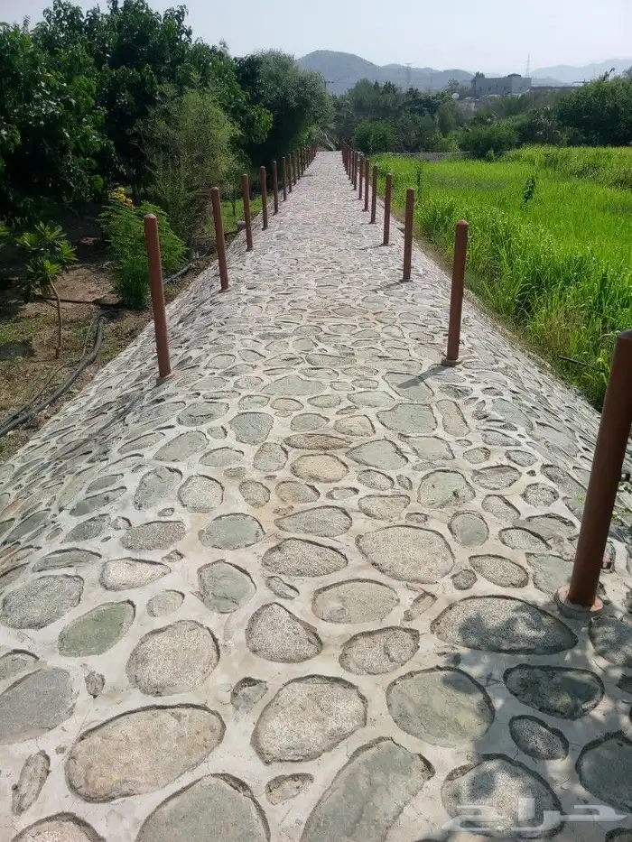 معلم حجر تلبيس ديكور حجر 7