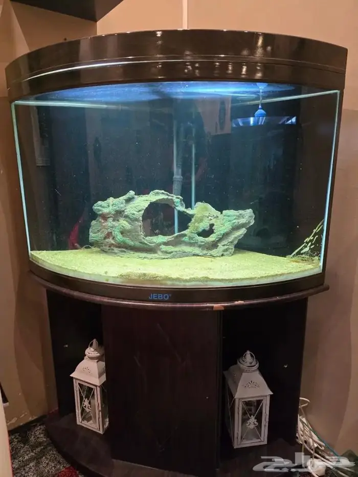 حوض سمك للبيع 0