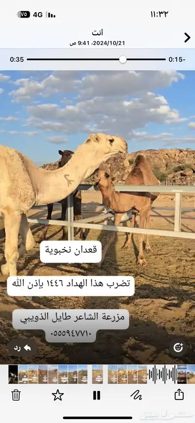 قعدان مشاريع فحول 12