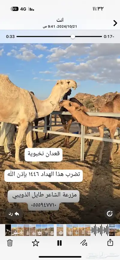 مجموعة قعدان مشاريع فحول 5