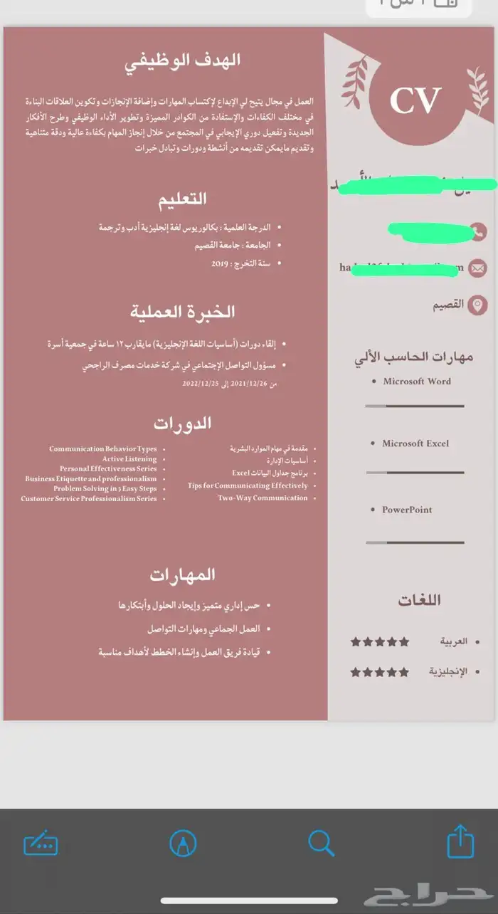 سيرة ذاتية احترافية 4