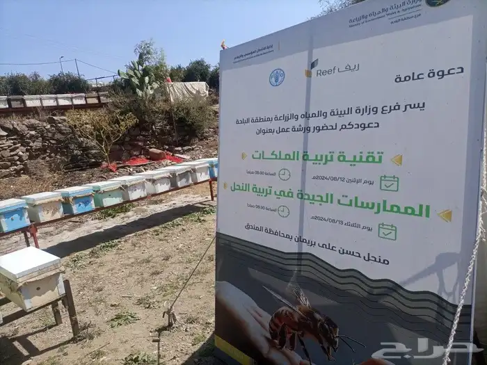 بيع نحل وملكات و جميع انواع العسل وحبوب اللقاح وغذاء الملكه 6