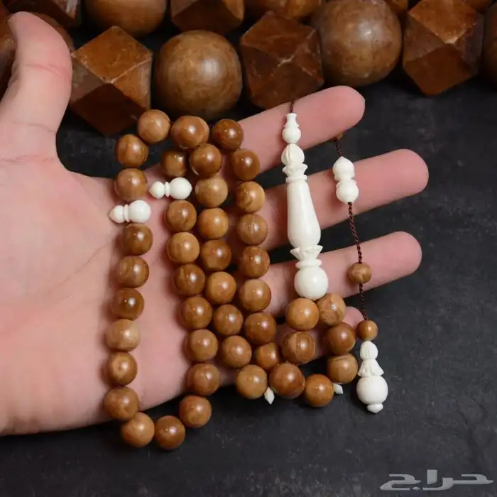 خشب ثمرة الكوك و عظم الجمل 1