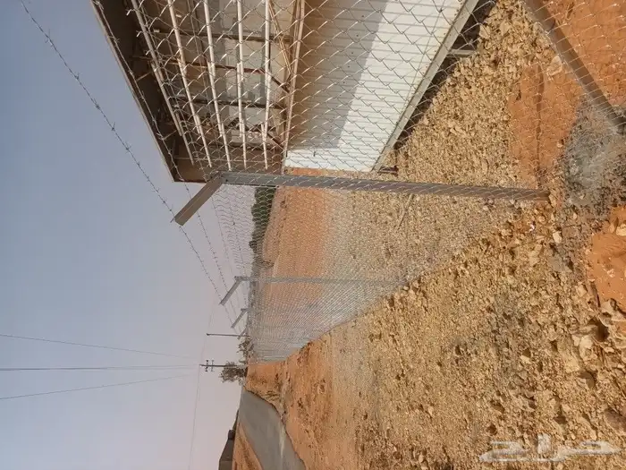 تركيب شبوك وزراعة النخيل 0
