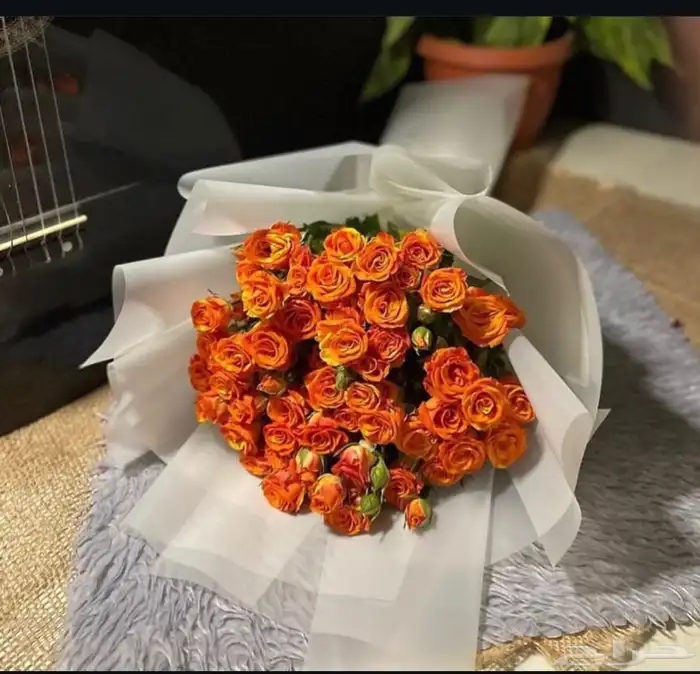 ورد باقه ورد جابو 3