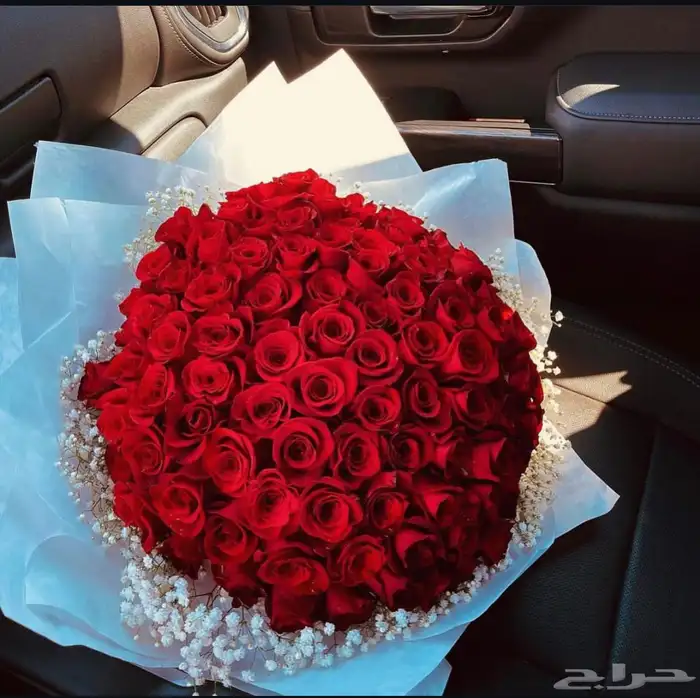 ورد باقه ورد جابو 1