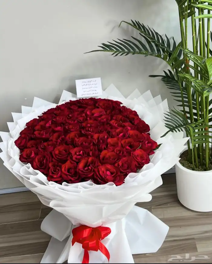 ورد باقه ورد جابو 0