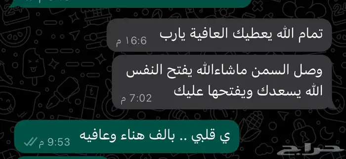 سمن غنم طازج صافي بدون اضافات 3