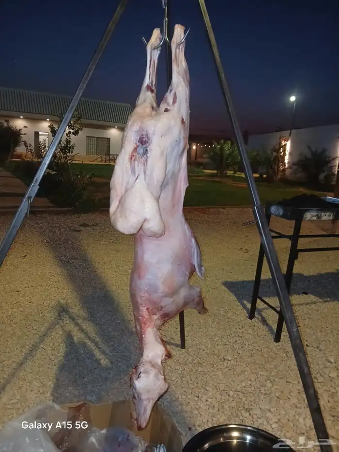 معلم مشاوي 1