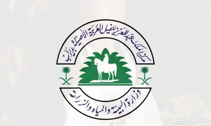 فتح حساب وتسجيل في موقع نما (اصيل سابقا  ) 0