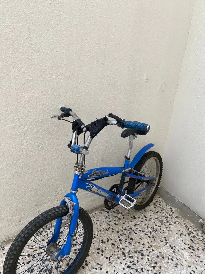 الطائف القيم الأعلى. 1