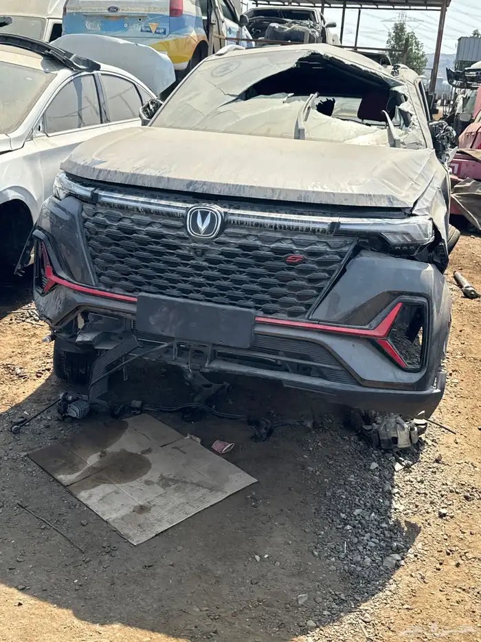 MG هافال جي سي إيه جيتور 6