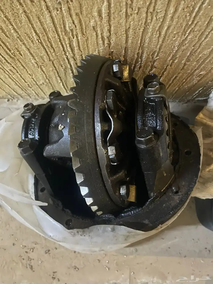 كرونه بلد مشروكه فيه صوت طبيعي 0