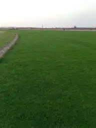 ثيل سئ 2000صافي وطبيعي الموقع الخرج 1